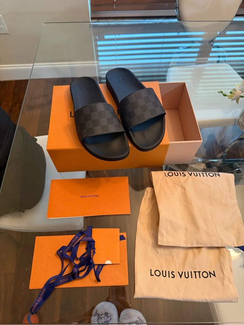 Louis Vuitton Waterfront Mule Damier Graphite Men’s LV Size 8 / US 9